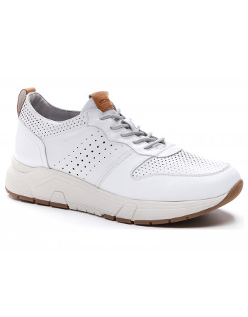 213881 Sneakers Uomo StoneFly